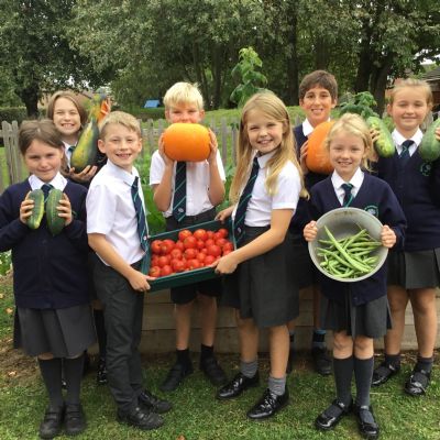 Green Team Allotments